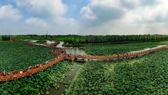 （菏澤市曹縣黃河故道濕地風(fēng)景區(qū)。圖片來(lái)源：菏澤市攝影家協(xié)會(huì)）